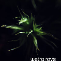 Wetro Rave